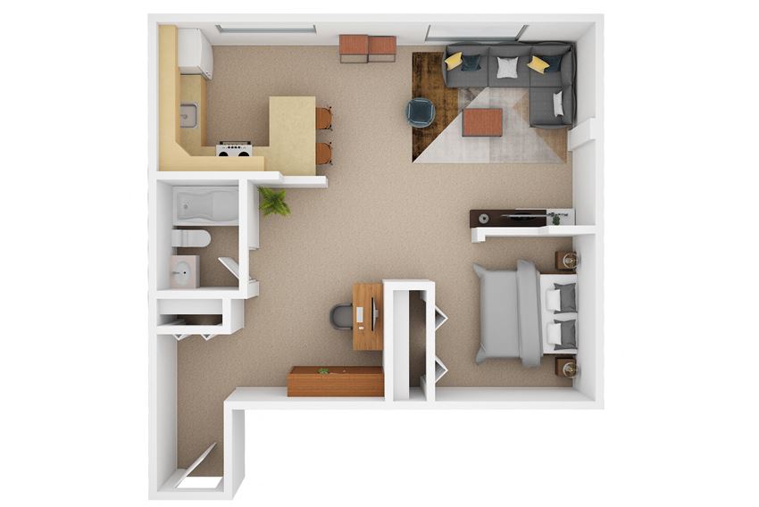 1 Bedroom (C)